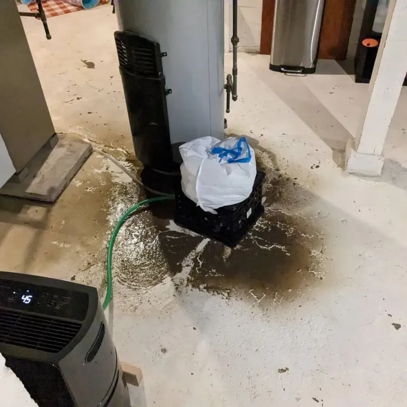 Sewage Backup Cleanup Service in Slater, IA